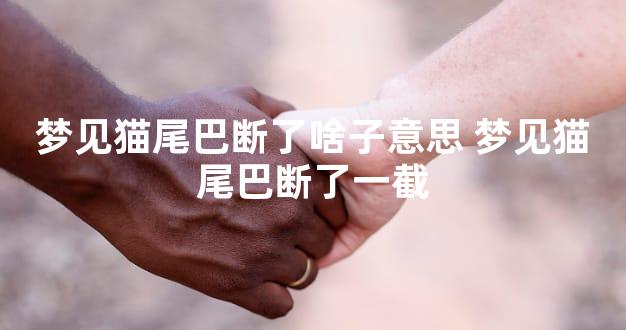 梦见猫尾巴断了啥子意思 梦见猫尾巴断了一截